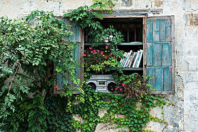 拼图桌游《Cascadia》Steam页面上线 发售日待定